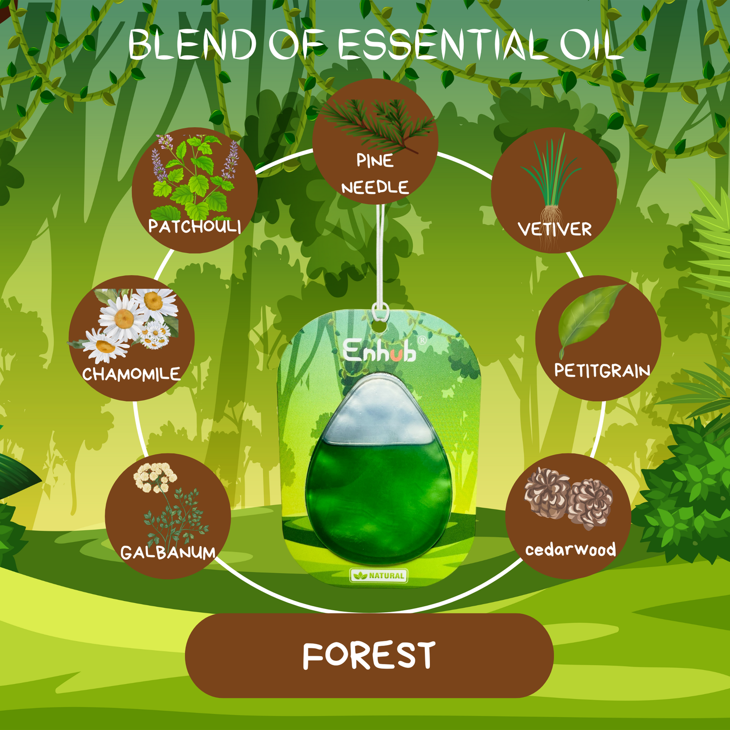 Natural car fragrance|100% Plant based|Blend of pure essential oil|Assorted pack of 6|CITRUS RELIEF AND FOREST